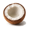 Coconuts